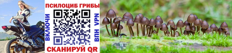 Псилоцибиновые грибы MAGIC MUSHROOMS  Купить закладки  Балаково 